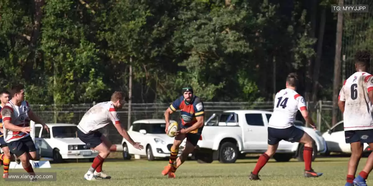 🎯 从装备到潮流，体育周边商城，做你的运动全能搭档！